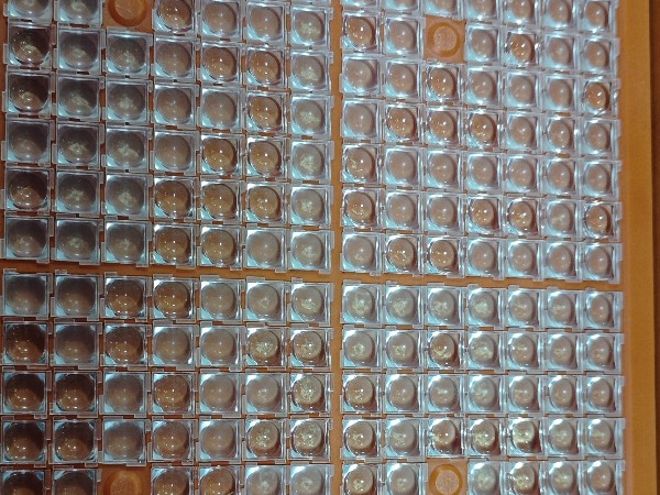 東莞唯思特整列機60秒極速完成透鏡擺盤，微小零件排列難題迎刃而解！